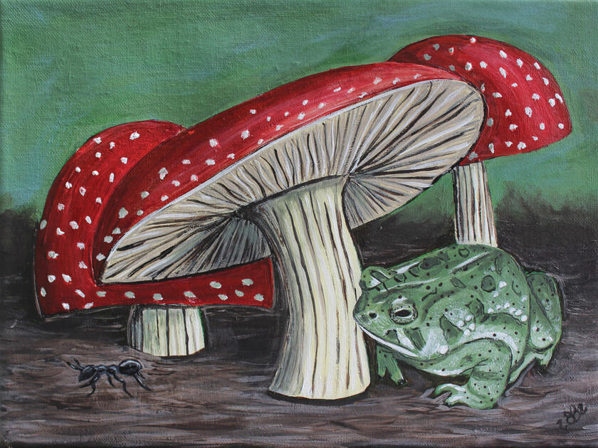 Toadstools