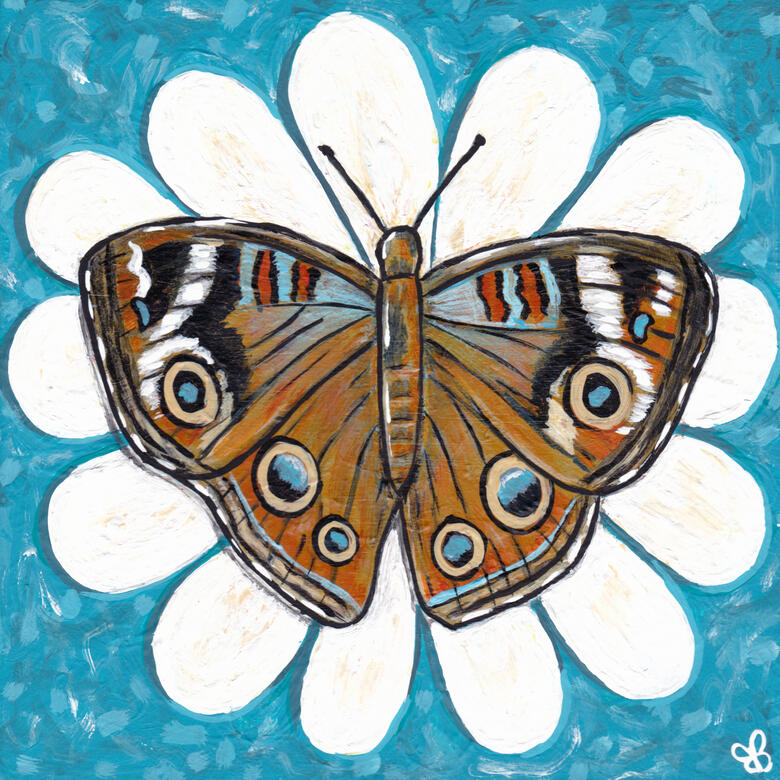 Buckeye Butterfly Original Acrylic Painting 6" x 6" - $60